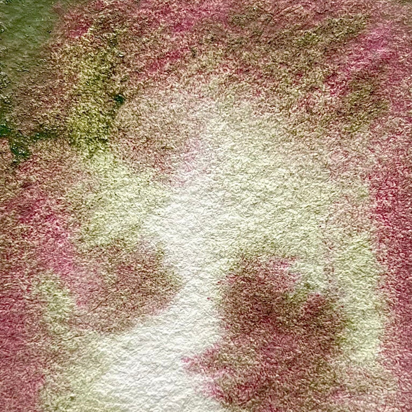 Botanical- Handmade Watercolour Paint