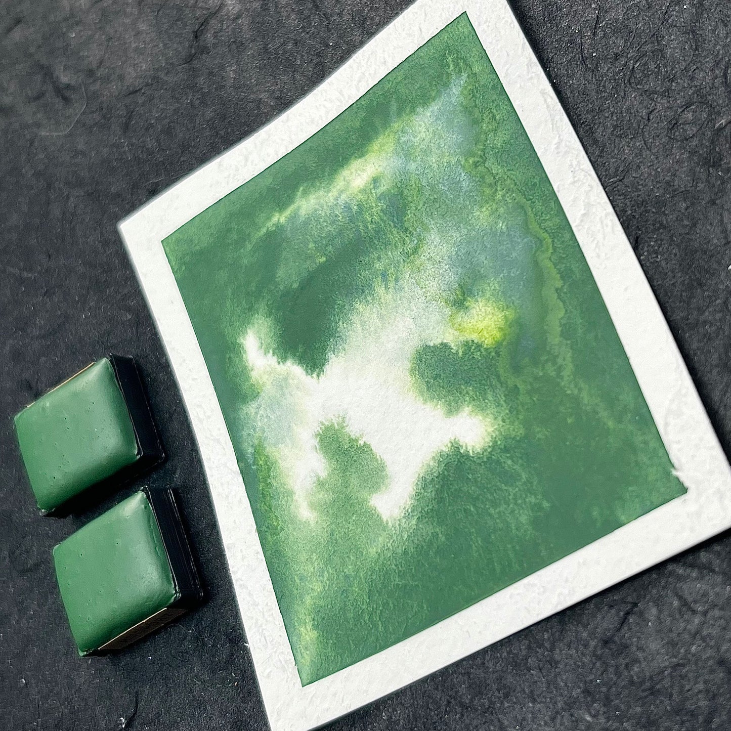 Mugwort- Handmade Watercolour Paint