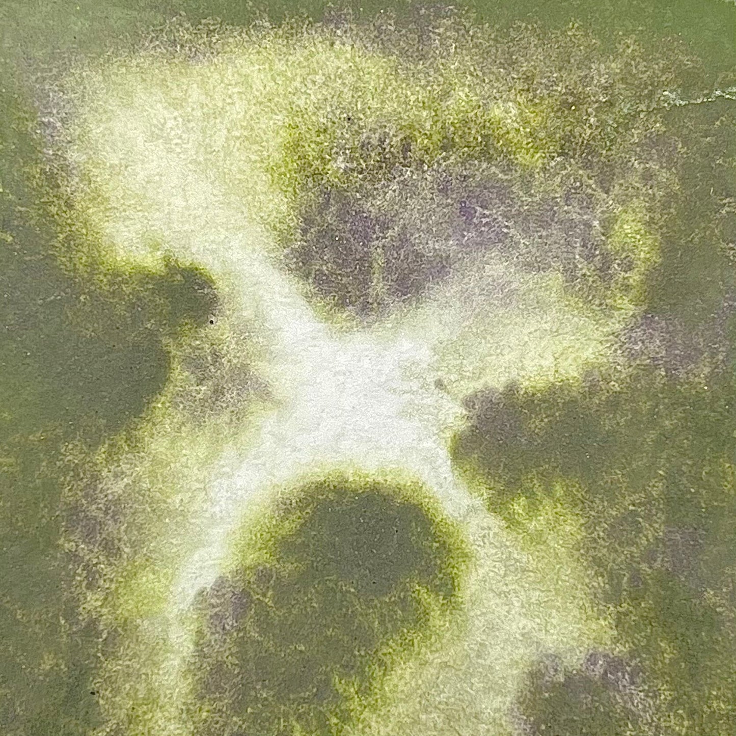 Elderberry- Handmade Watercolour Paint