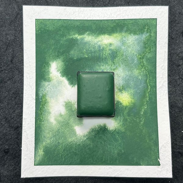 Mugwort- Handmade Watercolour Paint