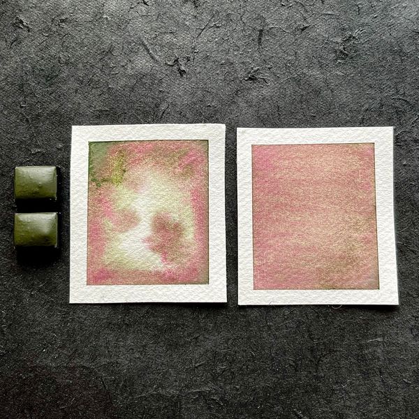 Botanical- Handmade Watercolour Paint